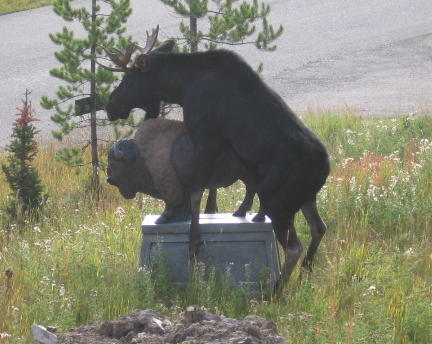Any old port in a storm
